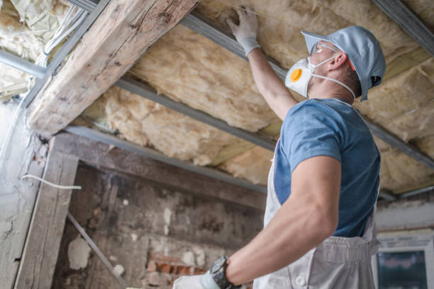 Best Fiberglass Insulation  in Arapahoe, NE