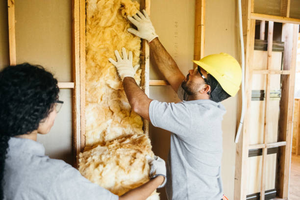 Best Insulation Inspection Services  in Arapahoe, NE
