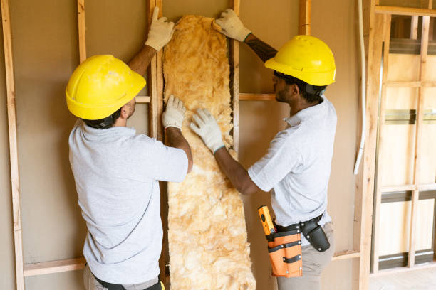 Best Wall Insulation Contractor  in Arapahoe, NE