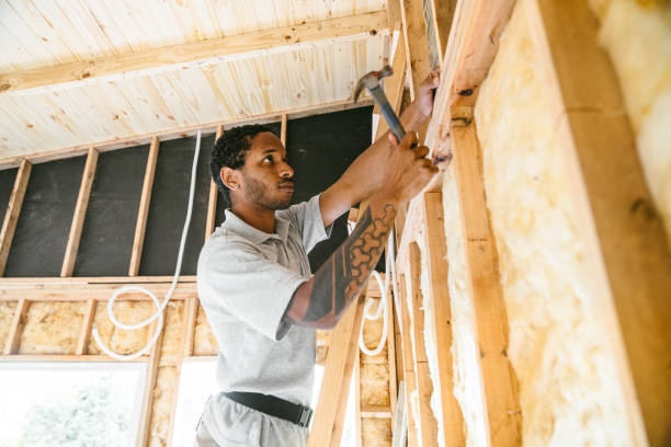 Trusted Arapahoe, NE Insulation Contractor Experts