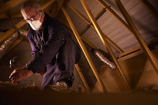Best Insulation Repair Services  in Arapahoe, NE